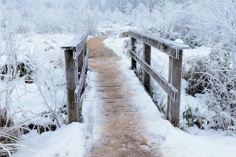 Recycled Pathways